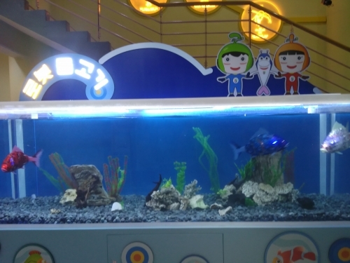 울산로봇수조관1.jpg